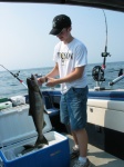 Lake Michigan King, 1 of 9 taken Aug 10, 04 and a steelie too