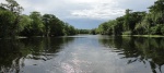 Highlight for Album: St John's River Trip
    March 2011