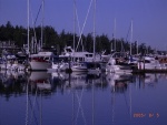 (Fishtales) Hid away at Roche Harbor