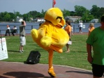 Dancing duck at potato festival