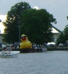 Duck Barge at Elizabeth City potato festival