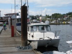 Discovery at Comox Harbour