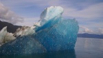 We loved the colors and shapes of the bergs. This one in Endicott Arm