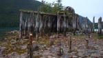 Taku Harbor old cannery ruins