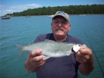 Highlight for Album: Herring Fishing,2011, Lime Island, MI 