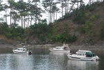 C Dancer, Knotty C and Halcyon, Fossil Bay, Sucia Island