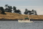 Caprice with Spieden Island in background