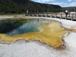 Highlight for Album: Yellowstone