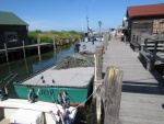 net boat working for Carlson Fisheries of Leland