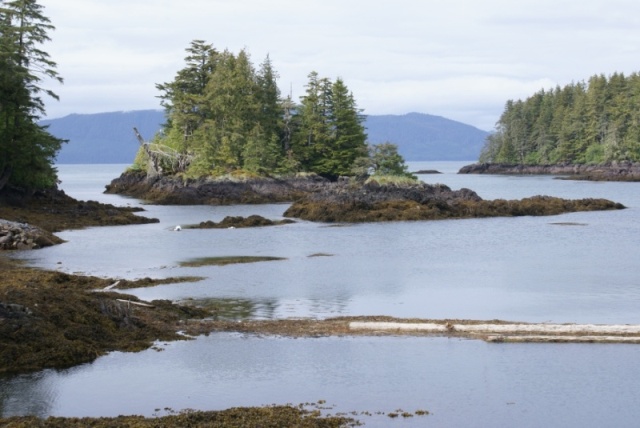 Inside Passage 2011 104 - Northbound, Point Baker