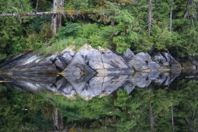 Inside Passage 2011 316  - Southbound, Hawkins Narrows, Farrant Island Cove