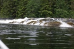 Inside Passage 2011 343 - Southbound, Princess Royal Channel