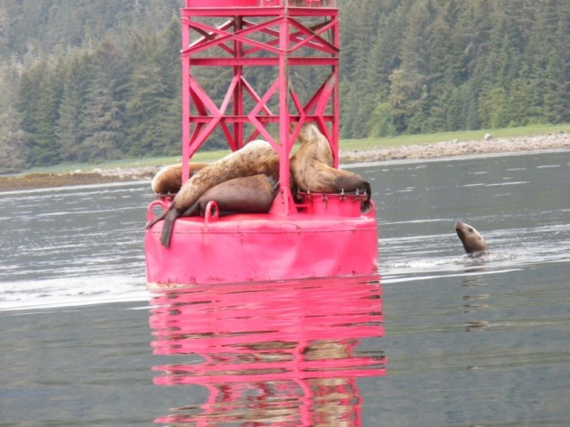 Inside Passage 2011 - Wrangel Narrows Buoy