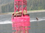 Inside Passage 2011 - Wrangel Narrows Buoy