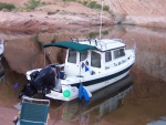 Two Bears in Oak Canyon Sunday morning 9/25/11