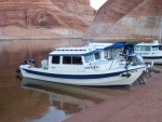 Bixby\'s Cub in Oak Canyon Sunday morning 9/25/11