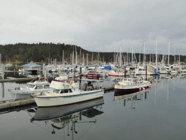 Friday Harbor fishing fleet