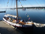 A sail boat whale watching boat. This would have been my choice if I were going looking for whales. Captain's name was Jim