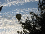 Having coffee on the deck at dawn, visitor overhead Sedona Az