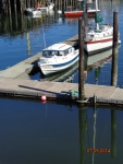 Anacortes, Alpha Dock, over by the commercial crabbers.