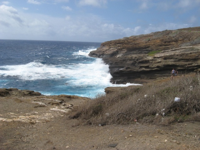 surf near blowhole 