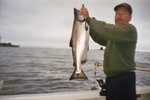 Sub and cruiser in background