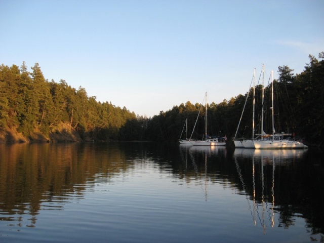 Wallace Island park early morning