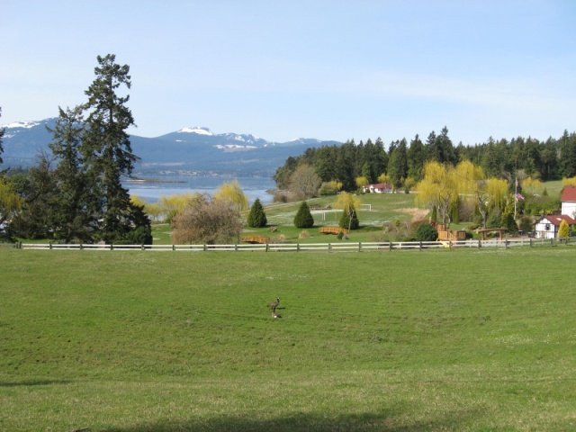 anglican retreat meadow