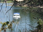 Kerri On in 6 ft of water low tide