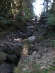 Old log flume, Roscoe Bay.