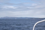 Boats following Orca Whales in the San Juan Islands