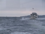 Au Kai wallowing & surfing to Comox