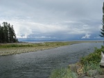 Oyster River estuary