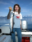 Robin with a nice Silver, west side of Esther Island