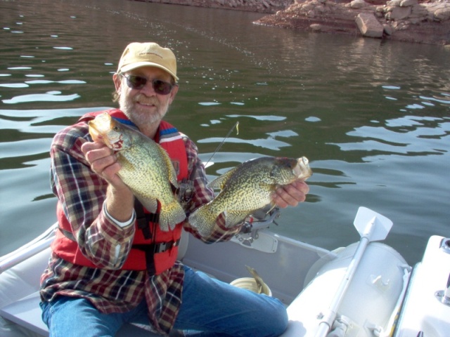 Black Crappie, Lake Powell, Utah