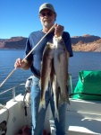 October Stripers at Lake Powell