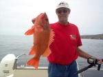 (Cygnet) Red Snapper, Santa Barbara Isl.  04 Catalina Cruise