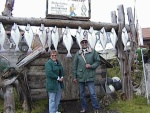 (Cygnet) Halibut, Ninilchik Alaska