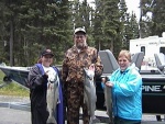 (Cygnet) Coho Salmon, Soldotna Alaska