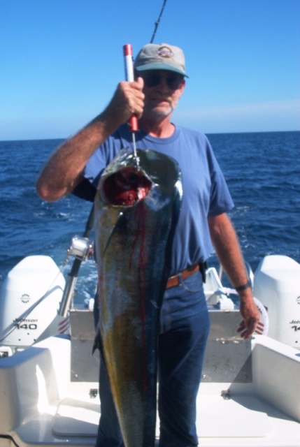 (Cygnet) Dorado (Mahi Mahi)  Cabo San Lucas