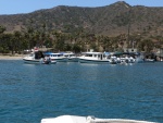 Highlight for Album: Catalina Cruise 2012