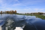 san joaquin river pluging up with hyacinth