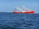 One of a hundred shrimp boats offshore.