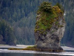 Hinchinbrook Prince William Sound, praying hands