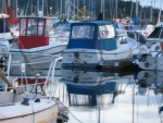 Maple Bay 22