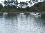 C-Dorys - Sucia Island  2011