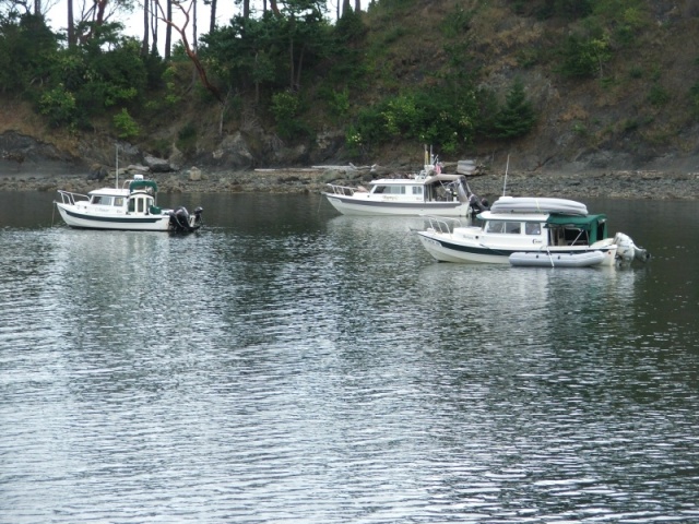 Fossil Bay 2011