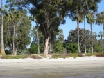 anchored off the Coronado Golf club