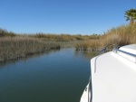 anchored for the night in 5 feet little stream off the bow