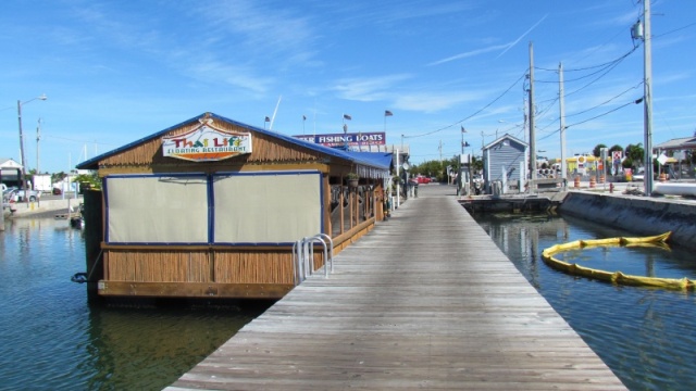 Thai Restaurant will cook your catch. Just at the end of our pier that our dock fingers are connected too.